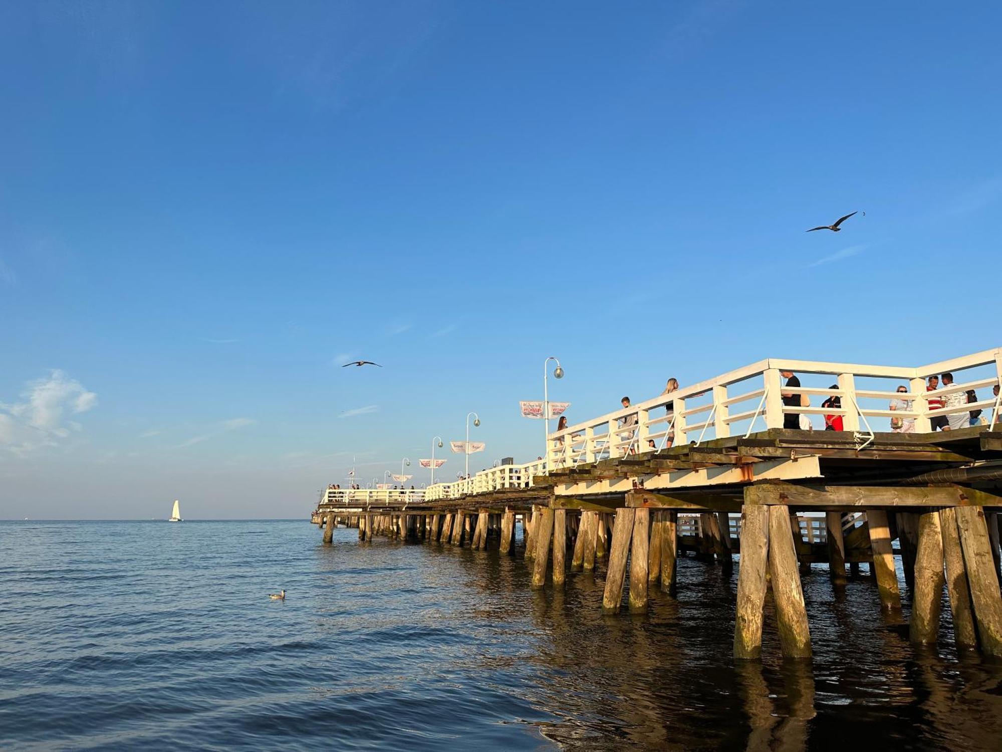 Domek Wakacyjny Sopot Bagian luar foto